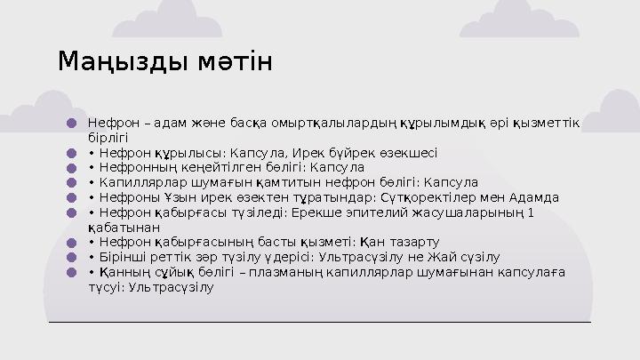 Маңызды мәтін ●Нефрон – адам және басқа омыртқалылардың құрылымдық әрі қызметтік бірлігі ●• Нефрон құрылысы: Капсула, Ирек