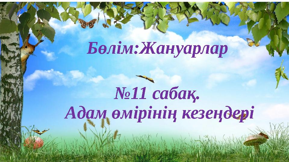 Бөлім:Жануарлар №11 сабақ. Адам өмірінің кезеңдері