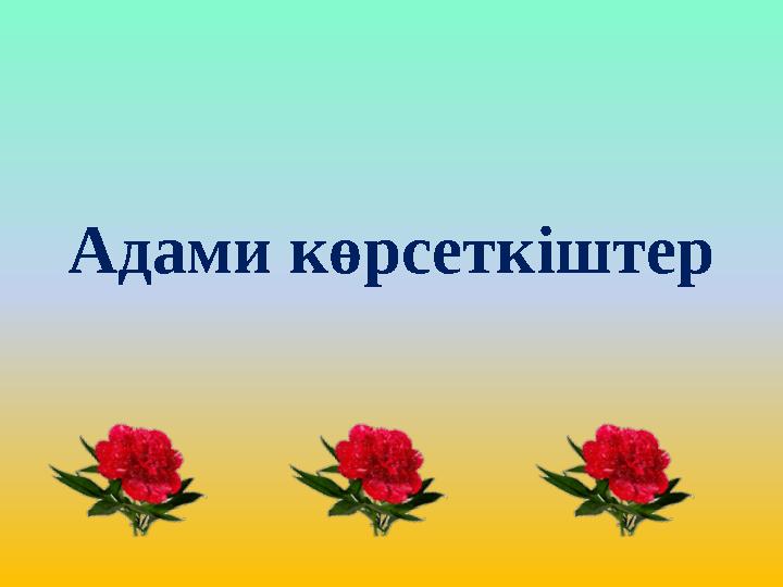 Адами көрсеткіштер