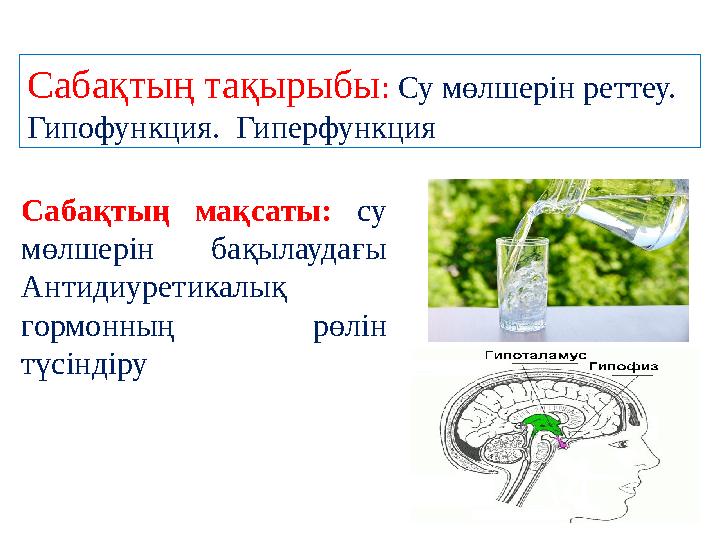 Сабақтың мақсаты: су мөлшерін бақылаудағы Антидиуретикалық гормонның рөлін түсіндіру Сабақтың тақырыбы: Су мөлшерін реттеу.