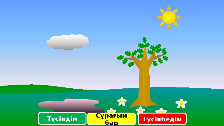 Түсіндім Сұрағым бар Түсінбедім