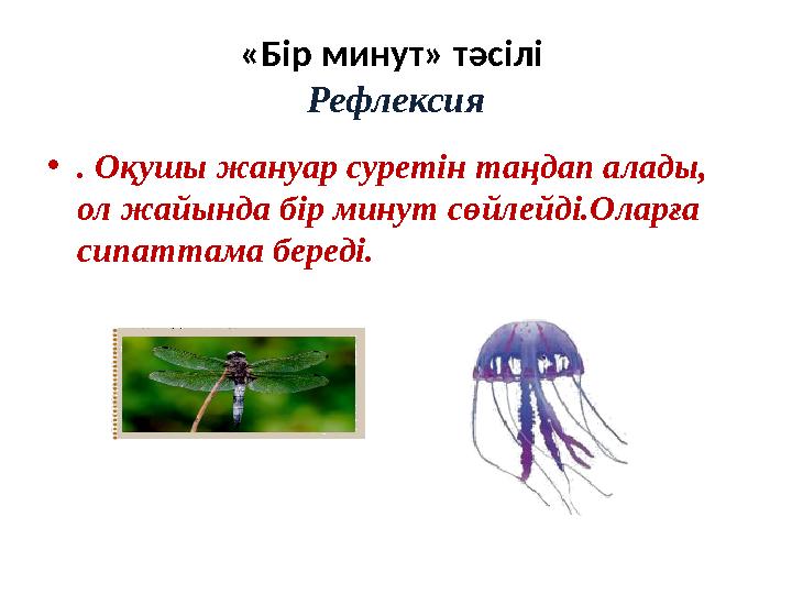 «Бір минут» тәсілі Рефлексия •. Оқушы жануар суретін таңдап алады, ол жайында бір минут сөйлейді.Оларға сипаттама береді.