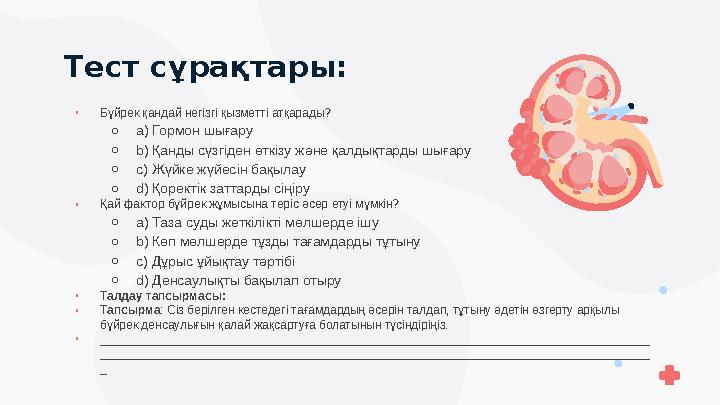 Тест сұрақтары: ▫Бүйрек қандай негізгі қызметті атқарады? ○a) Гормон шығару ○b) Қанды сүзгіден өткізу және қалдықтарды шығару