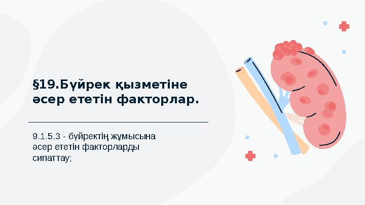 9.1.5.3 - бүйректің жұмысына әсер ететін факторларды сипаттау; §19.Бүйрек қызметіне әсер ететін факторлар.