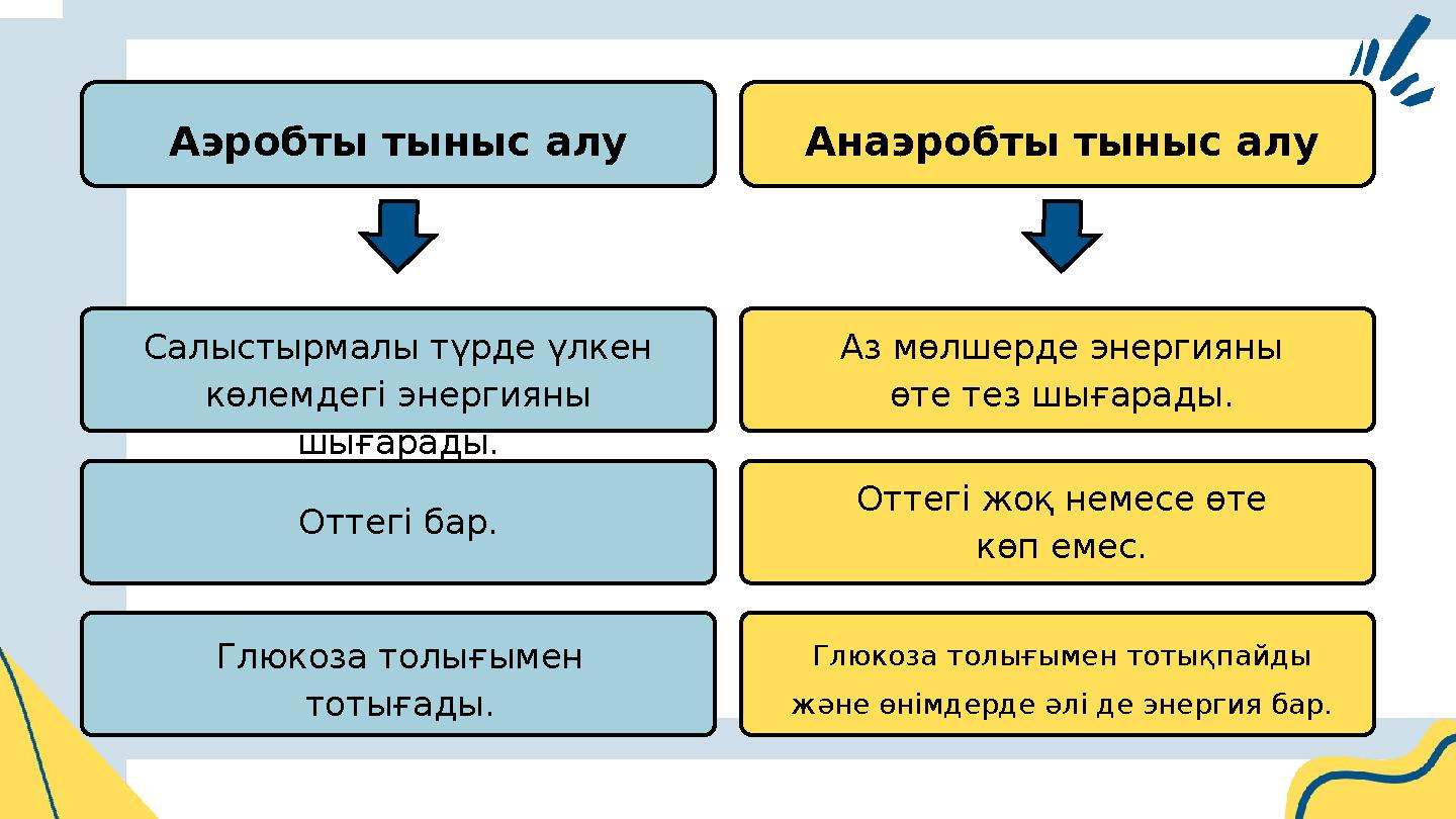 Салыстырмалы түрде үлкен көлемдегі энергияны шығарады. Аэробты тыныс алу Анаэробты тыныс алу Оттегі бар. Глюкоза толығымен т