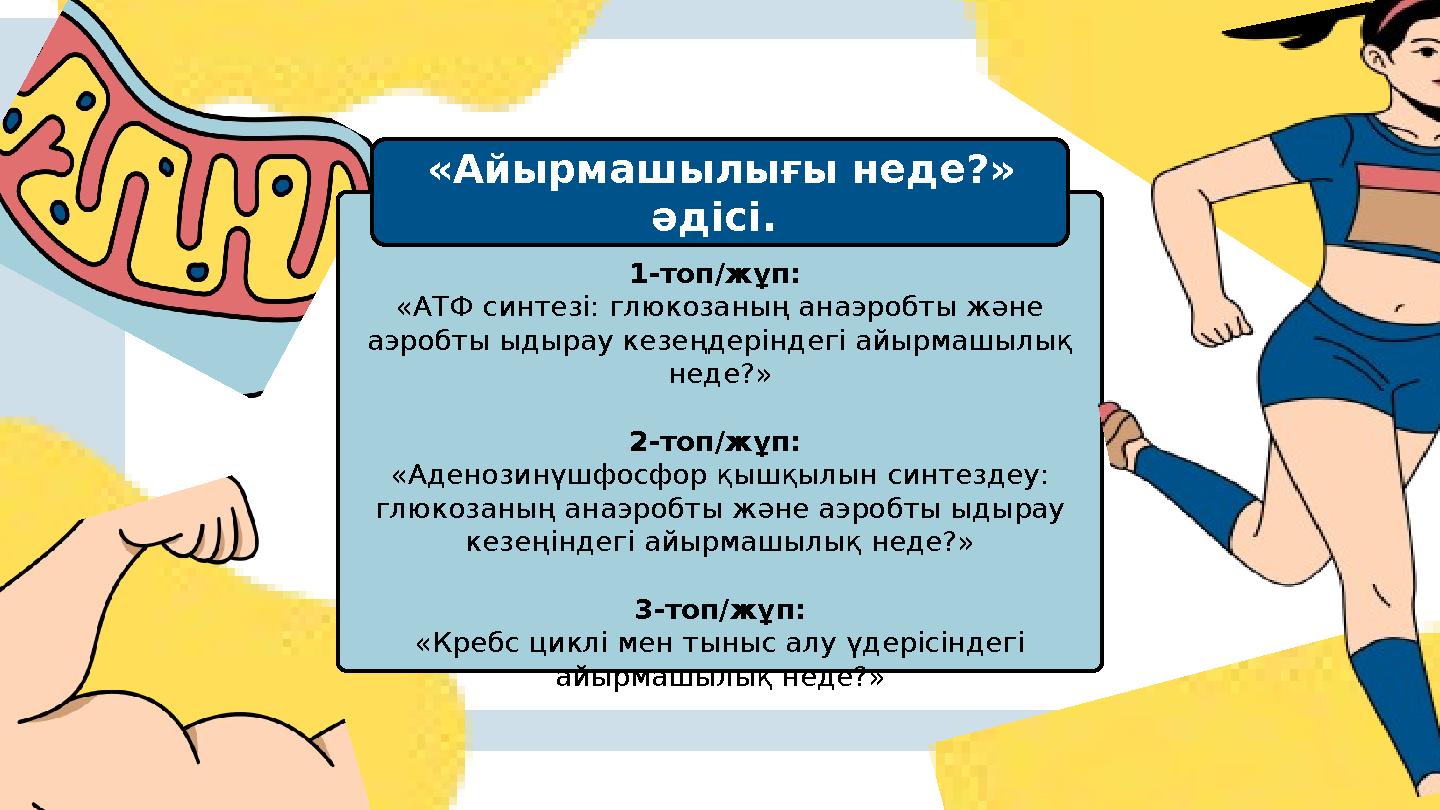 1-топ/жұп: «АТФ синтезі: глюкозаның анаэробты және аэробты ыдырау кезеңдеріндегі айырмашылық неде?» 2-топ/жұп: «Аденозинүшф