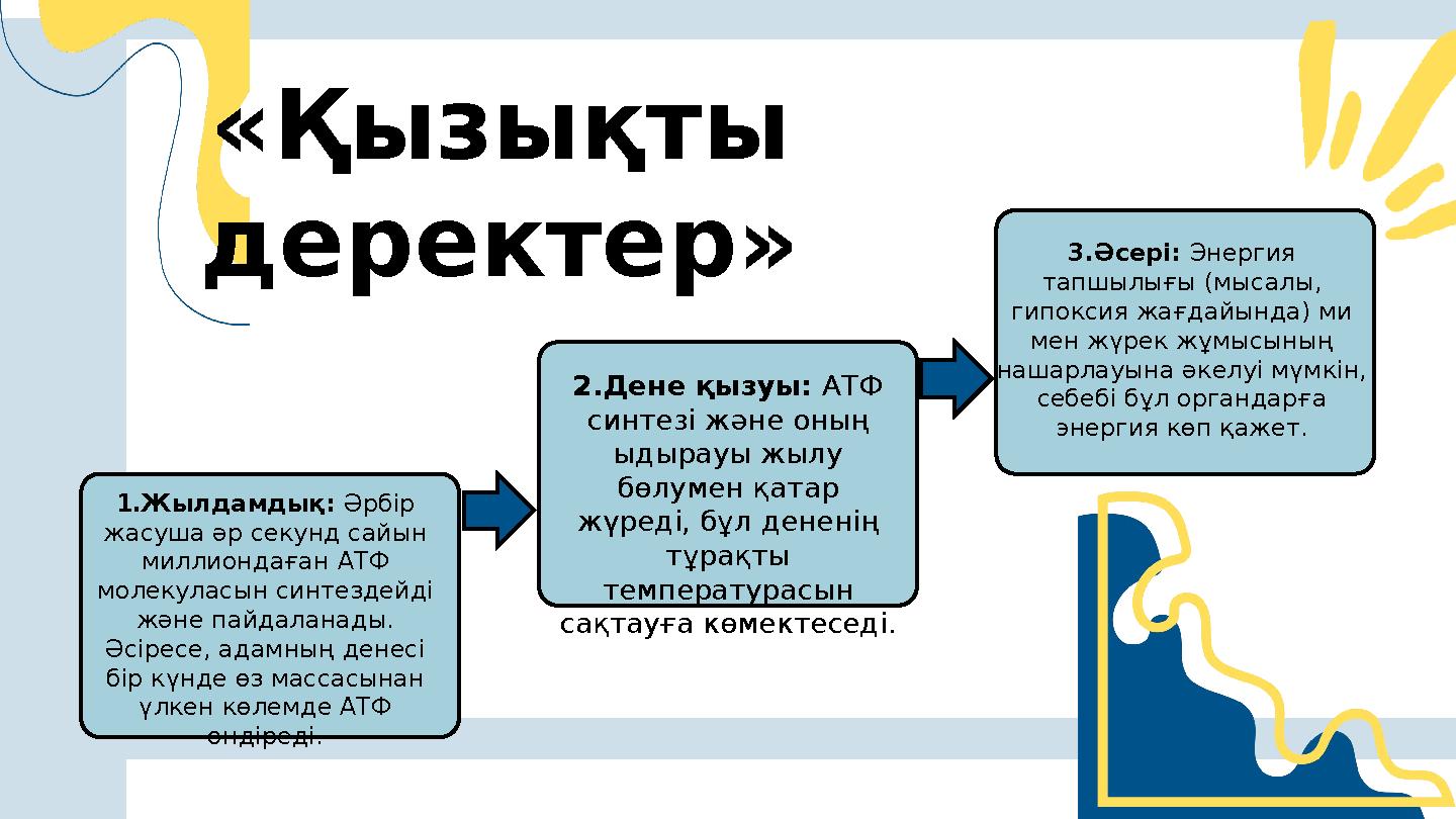 1.Жылдамдық: Әрбір жасуша әр секунд сайын миллиондаған АТФ молекуласын синтездейді және пайдаланады. Әсіресе, адамның дене