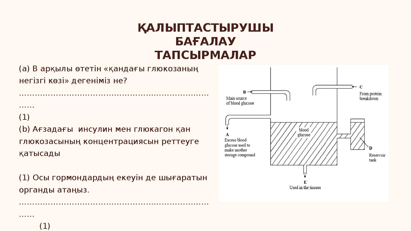 ҚАЛЫПТАСТЫРУШЫ БАҒАЛАУ ТАПСЫРМАЛАР (a) В арқылы өтетін «қандағы глюкозаның негізгі көзі» дегеніміз не? …………………………………………………………