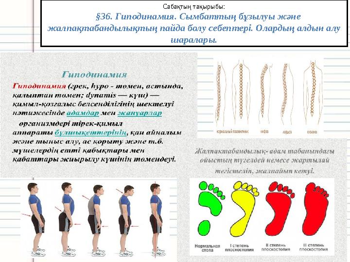 Сабақтың тақырыбы: §36. Гиподинамия. Сымбаттың бұзылуы және жалпақтабандылықтың пайда болу себептері. Олардың алдын алу ша