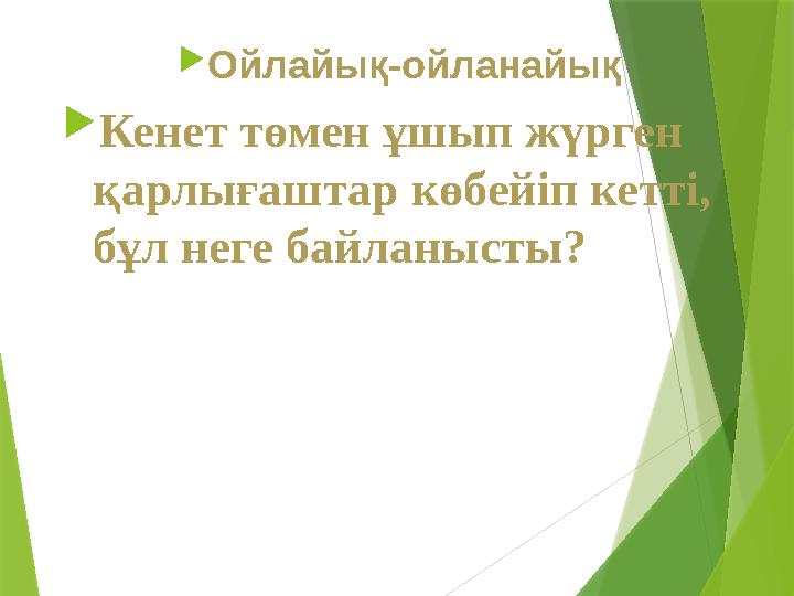 Ойлайық-ойланайық Кенет төмен ұшып жүрген қарлығаштар көбейіп кетті, бұл неге байланысты?