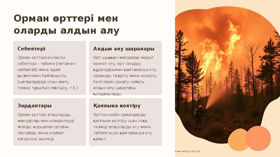 Орман өрттері мен оларды алдын алу Себептері Орман өрттерінің басты себептері - табиғи (негізінен найзағай) және адам қызмет