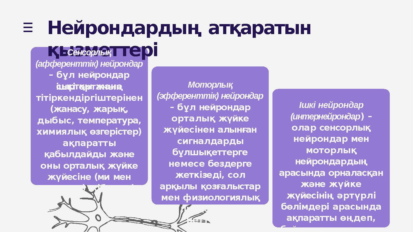 Нейрондардың атқаратын қызметтеріСенсорлық (афференттік) нейрондар – бұл нейрондар сыртқы жәнеішкі ортаның тітіркендіргіште