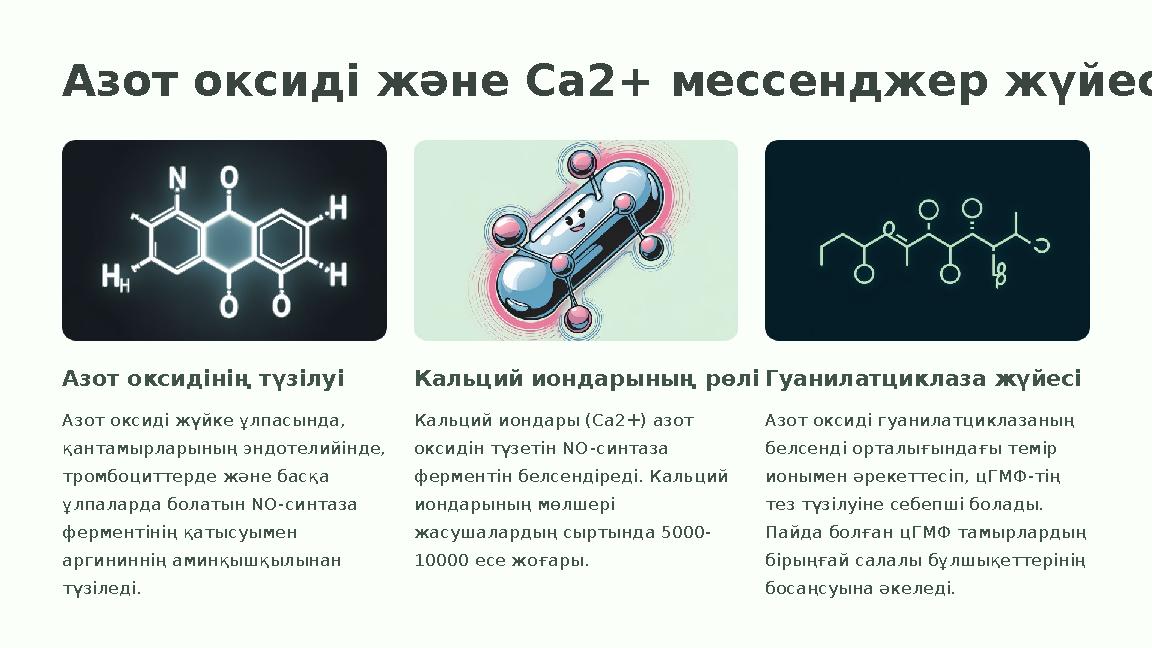 Азот оксиді және Са2+ мессенджер жүйесі Азот оксидінің түзілуі Азот оксиді жүйке ұлпасында, қантамырларының эндотелийінде, тро