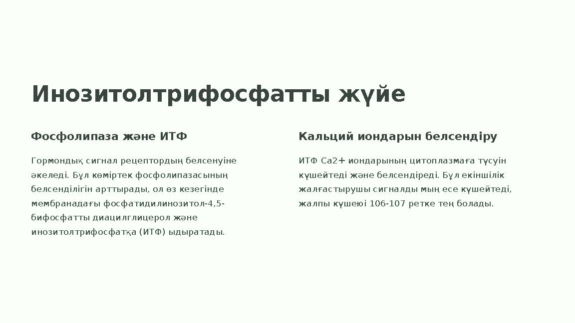 Инозитолтрифосфатты жүйе Фосфолипаза және ИТФ Гормондық сигнал рецептордың белсенуіне әкеледі. Бұл көміртек фосфолипазасының б