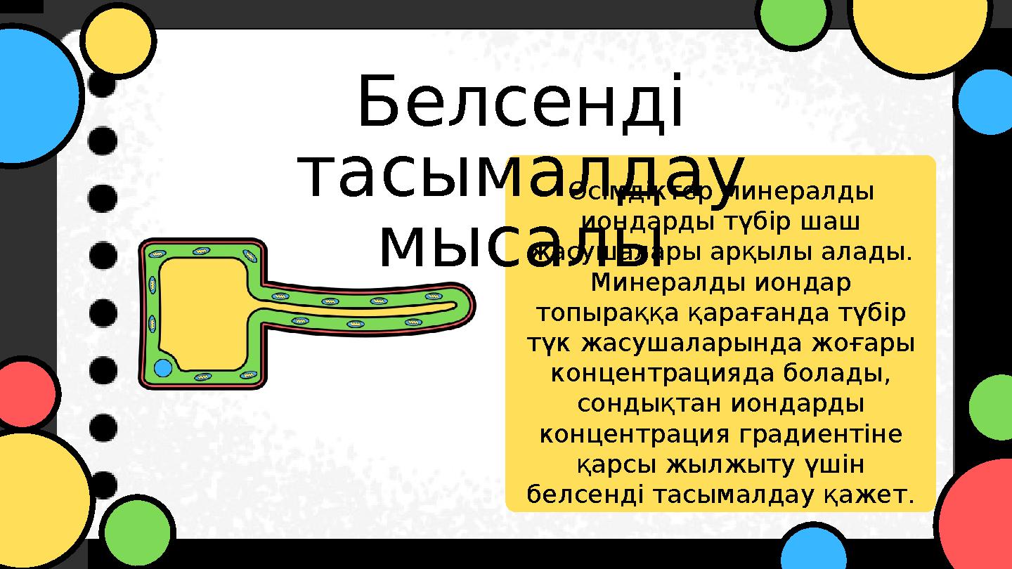 Өсімдіктер минералды иондарды түбір шаш жасушалары арқылы алады. Минералды иондар топыраққа қарағанда түбір түк жасушалары