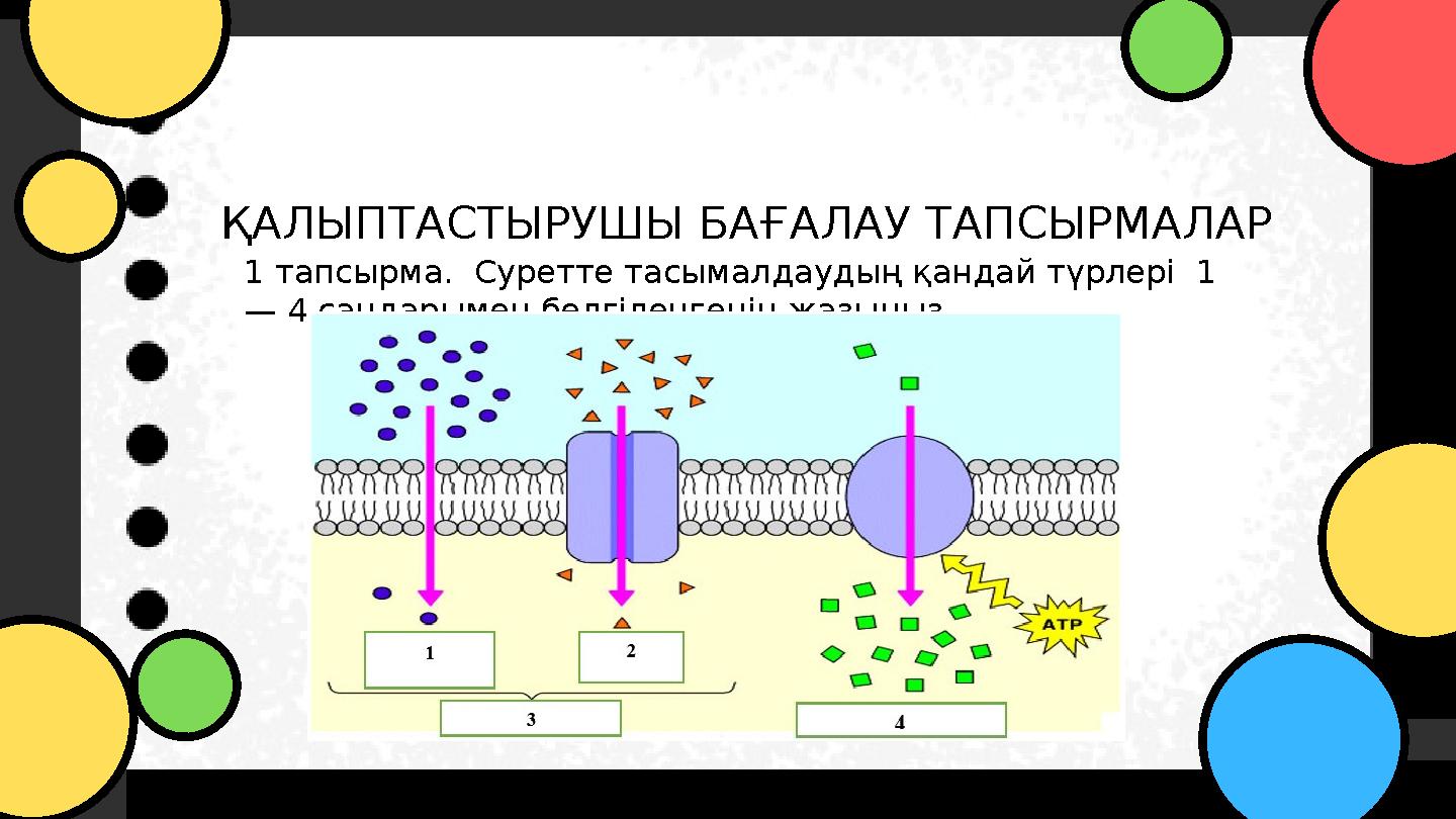 ҚАЛЫПТАСТЫРУШЫ БАҒАЛАУ ТАПСЫРМАЛАР 1 тапсырма. Суретте тасымалдаудың қандай түрлері 1 — 4 сандарымен белгіленгенін жазыңыз.