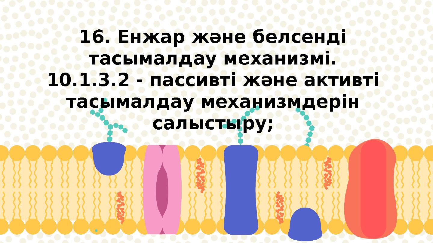 16. Енжар және белсенді тасымалдау механизмі. 10.1.3.2 - пассивті және активті тасымалдау механизмдерін салыстыру;