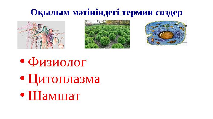 Оқылым мәтініндегі термин сөздер •Физиолог •Цитоплазма •Шамшат