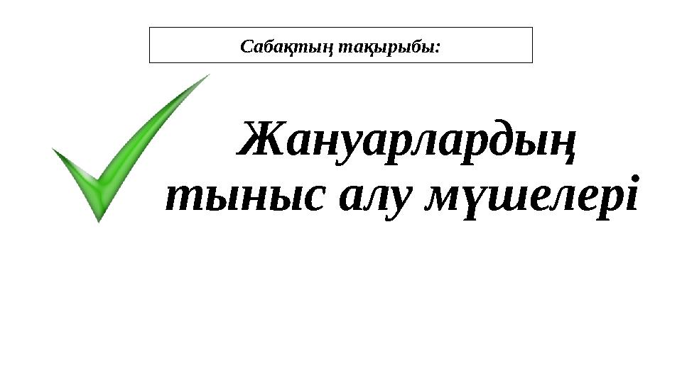 Жануарлардың тыныс алу мүшелері Сабақтың тақырыбы: