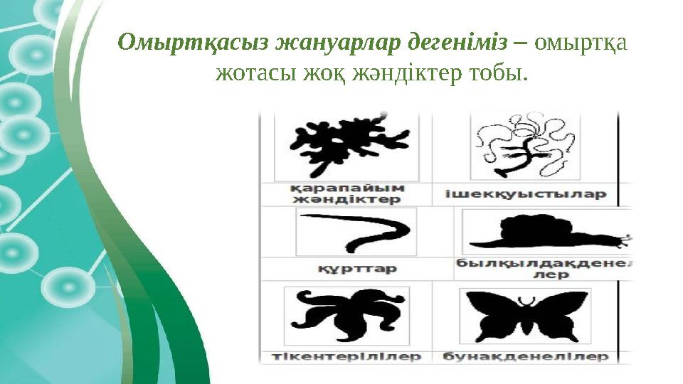 Омыртқаcыз жануарлар дегеніміз – омыртқа жотасы жоқ жәндіктер тобы.