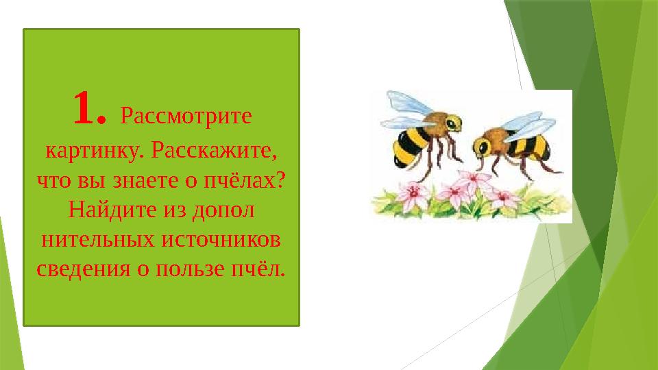 1. Рассмотрите картинку. Расскажите, что вы знаете о пчёлах? Найдите из допол нительных источников сведения