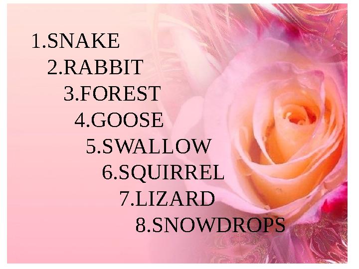 1.SNAKE 2.RABBIT 3.FOREST 4.GOOSE 5.SWALLOW 6.SQUIRREL 7.LIZARD