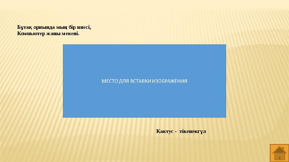 Кактус - тікенекгүл Бұтақ орнында мың бір инесі, Компьютер жаны мекені.