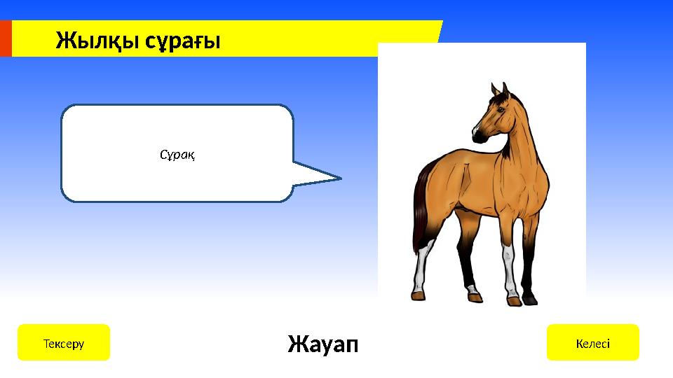 Жылқы сұрағы Сұрақ КелесіТексеру Жауап