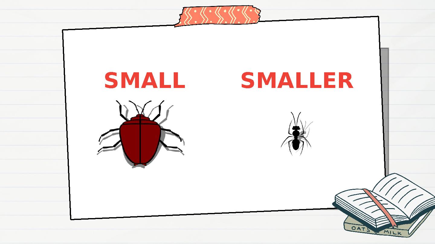 SMALL SMALLER