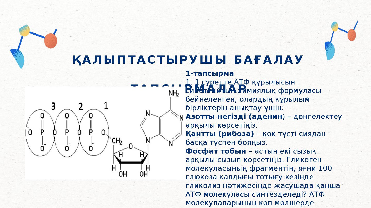 ҚАЛЫПТАСТЫРУШЫ БАҒАЛАУ ТАПСЫРМАЛАР 1-тапсырма 1. 1 суретте АТФ құрылысын сипаттайтын химиялық формуласы бейнеленген, олардың