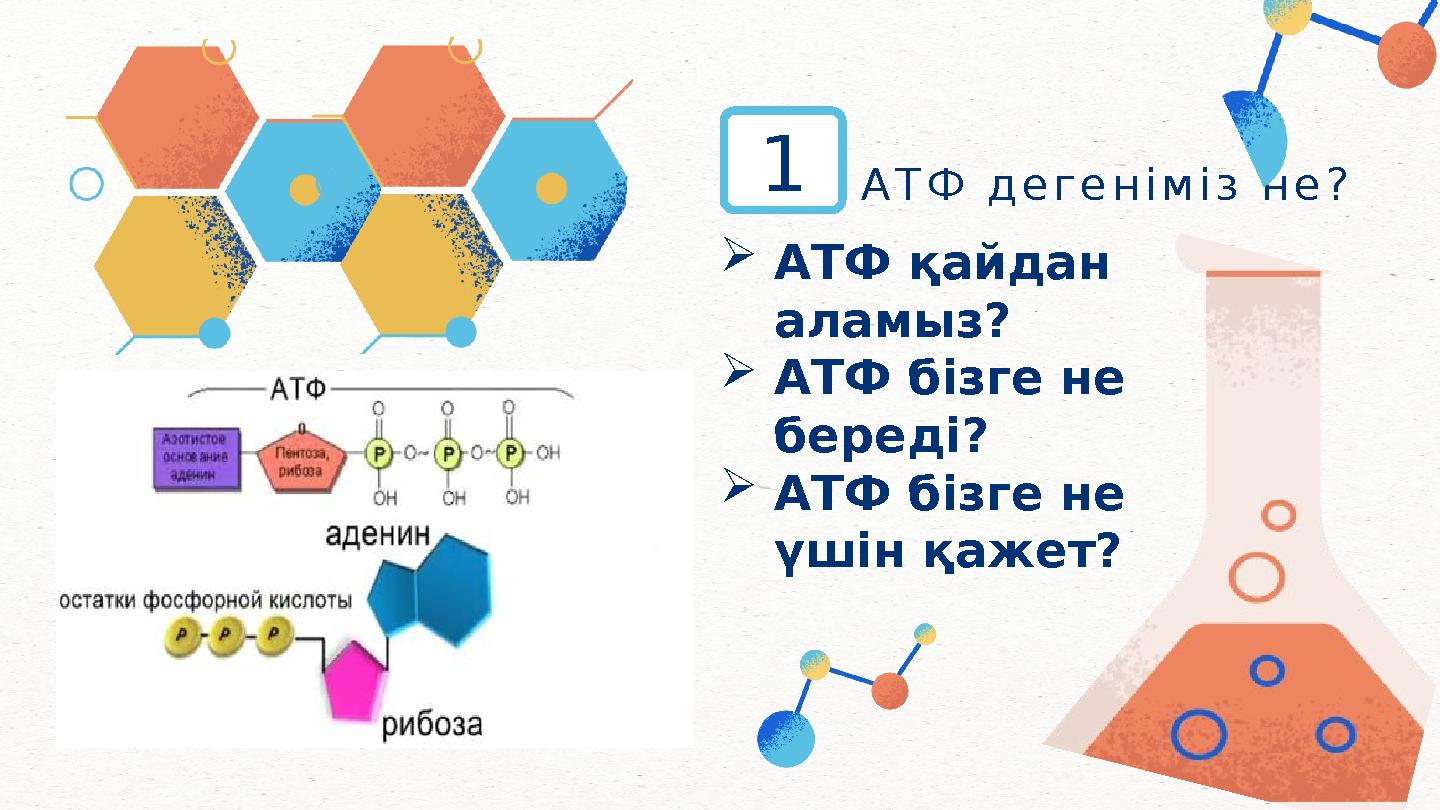 АТФ қайдан аламыз? АТФ бізге не береді? АТФ бізге не үшін қажет? АТФ дегеніміз не?1