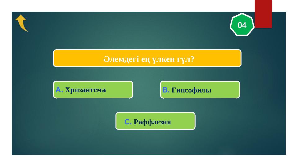 Әлемдегі ең үлкен гүл? 04 A. Хризантема В. Гипсофилы С. Раффлезия