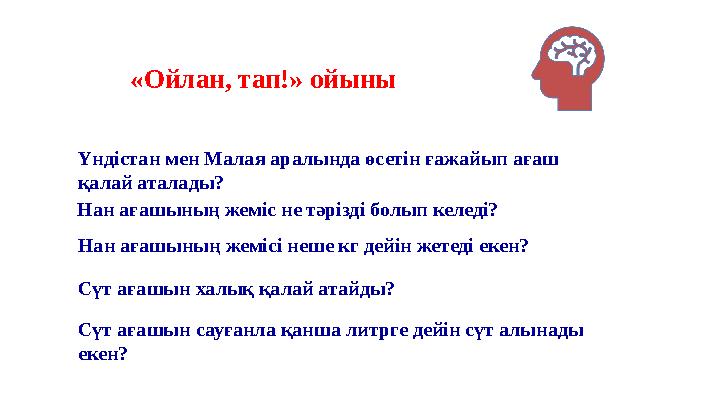 «Ойлан, тап!» ойыны Үндістан мен Малая аралында өсетін ғажайып ағаш қалай аталады? Нан ағашының жеміс не тәрізді болып келеді?