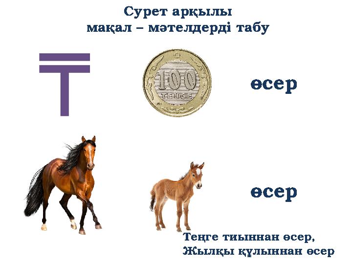 Сурет арқылы мақал – мәтелдерді табу өсер өсер Теңге тиыннан өсер, Жылқы құлыннан өсер