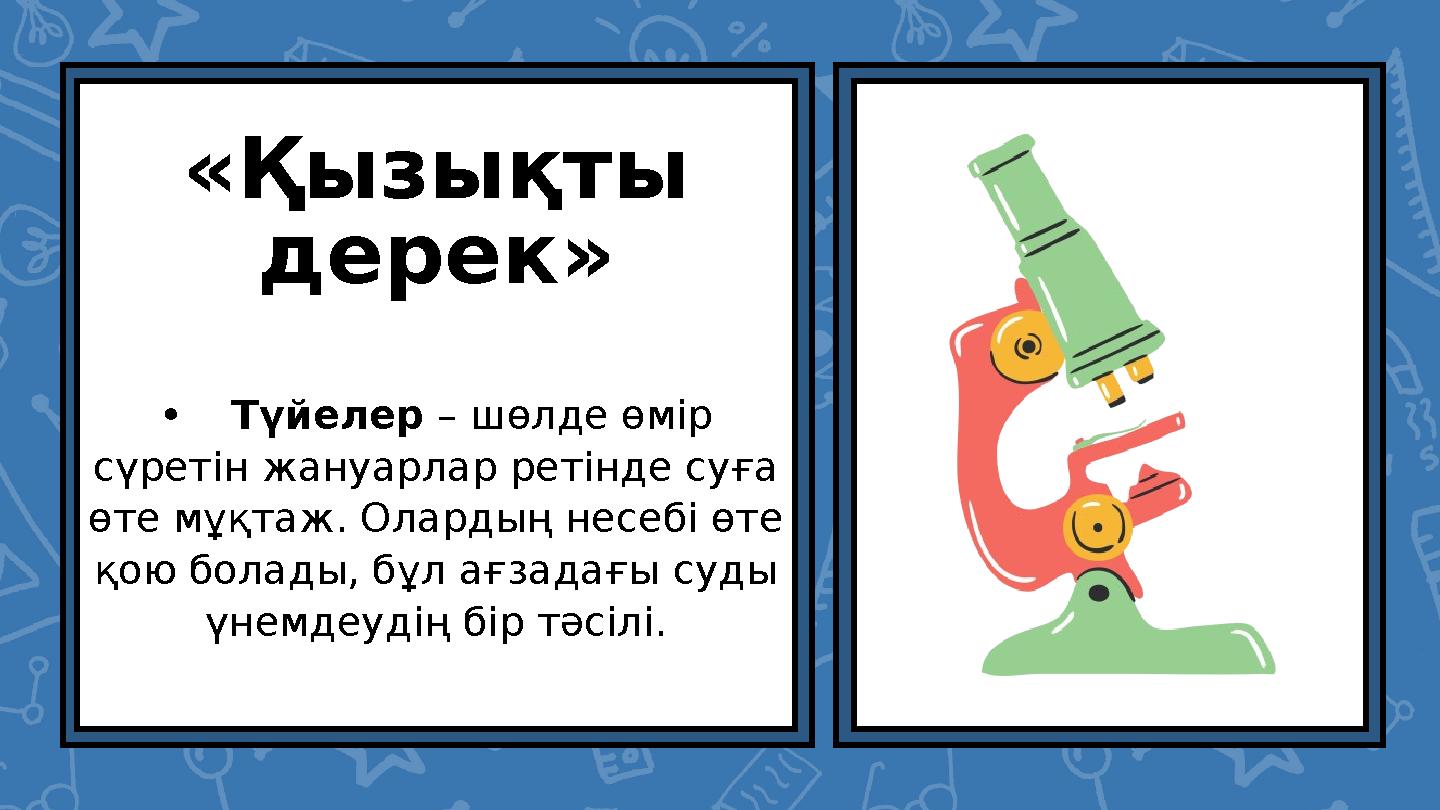 «Қызықты дерек» •Түйелер – шөлде өмір сүретін жануарлар ретінде суға өте мұқтаж. Олардың несебі өте қою болады, бұл ағзада