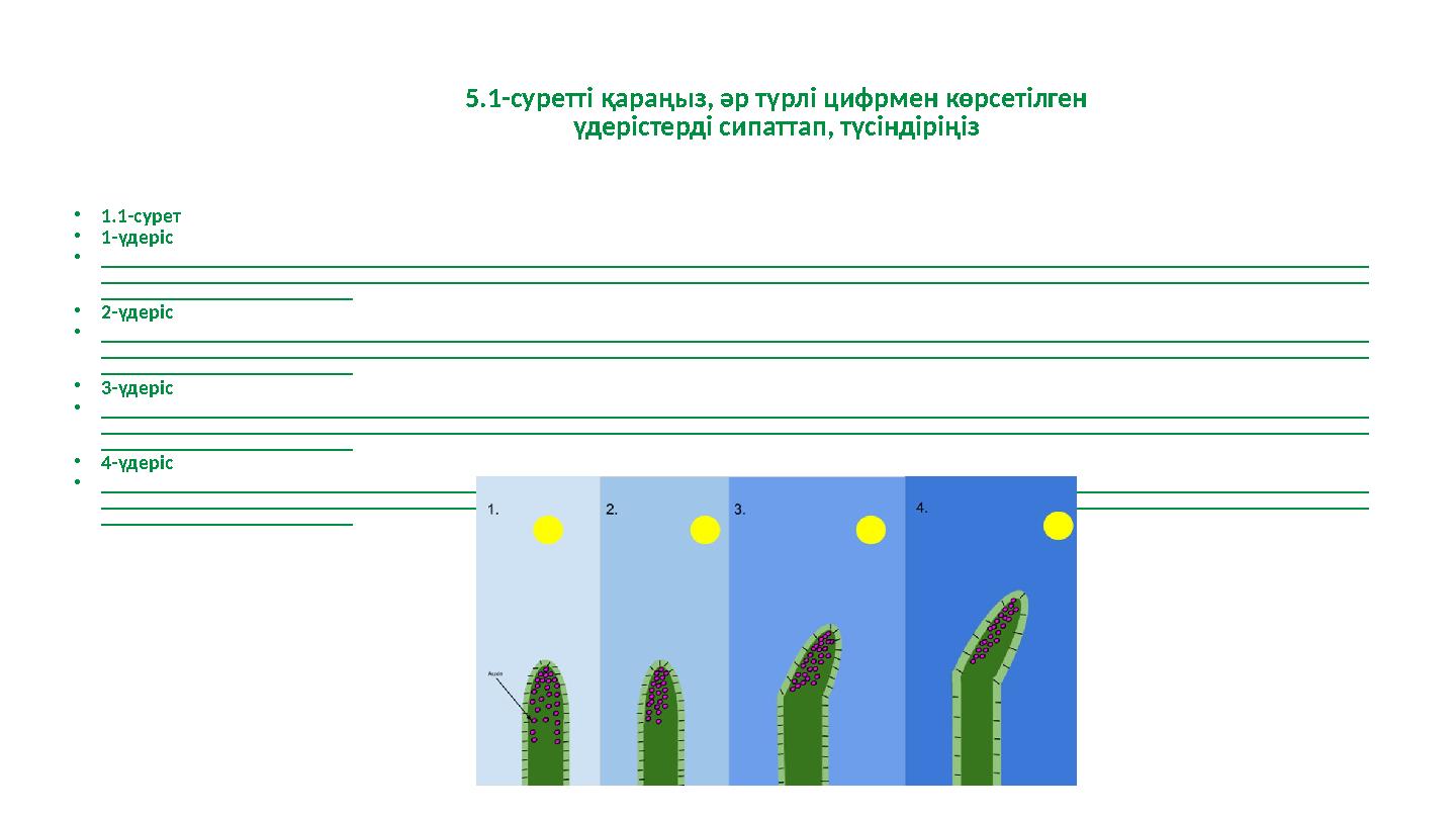 5.1-cуретті қараңыз, әр түрлі цифрмен көрсетілген үдерістерді сипаттап, түсіндіріңіз •1.1-сурет •1-үдеріс •____________________