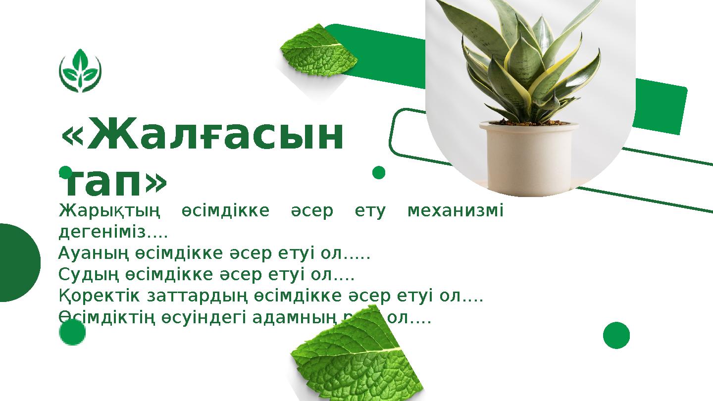 «Жалғасын тап» Жарықтың өсімдікке әсер ету механизмі дегеніміз.... Ауаның өсімдікке әсер етуі ол..... Судың өсімдікке әсер ет