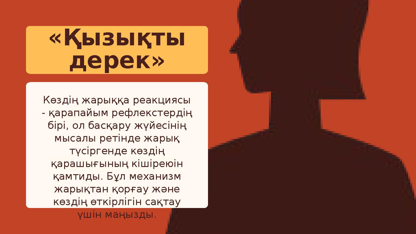 «Қызықты дерек» Көздің жарыққа реакциясы - қарапайым рефлекстердің бірі, ол басқару жүйесінің мысалы ретінде жарық түсірген