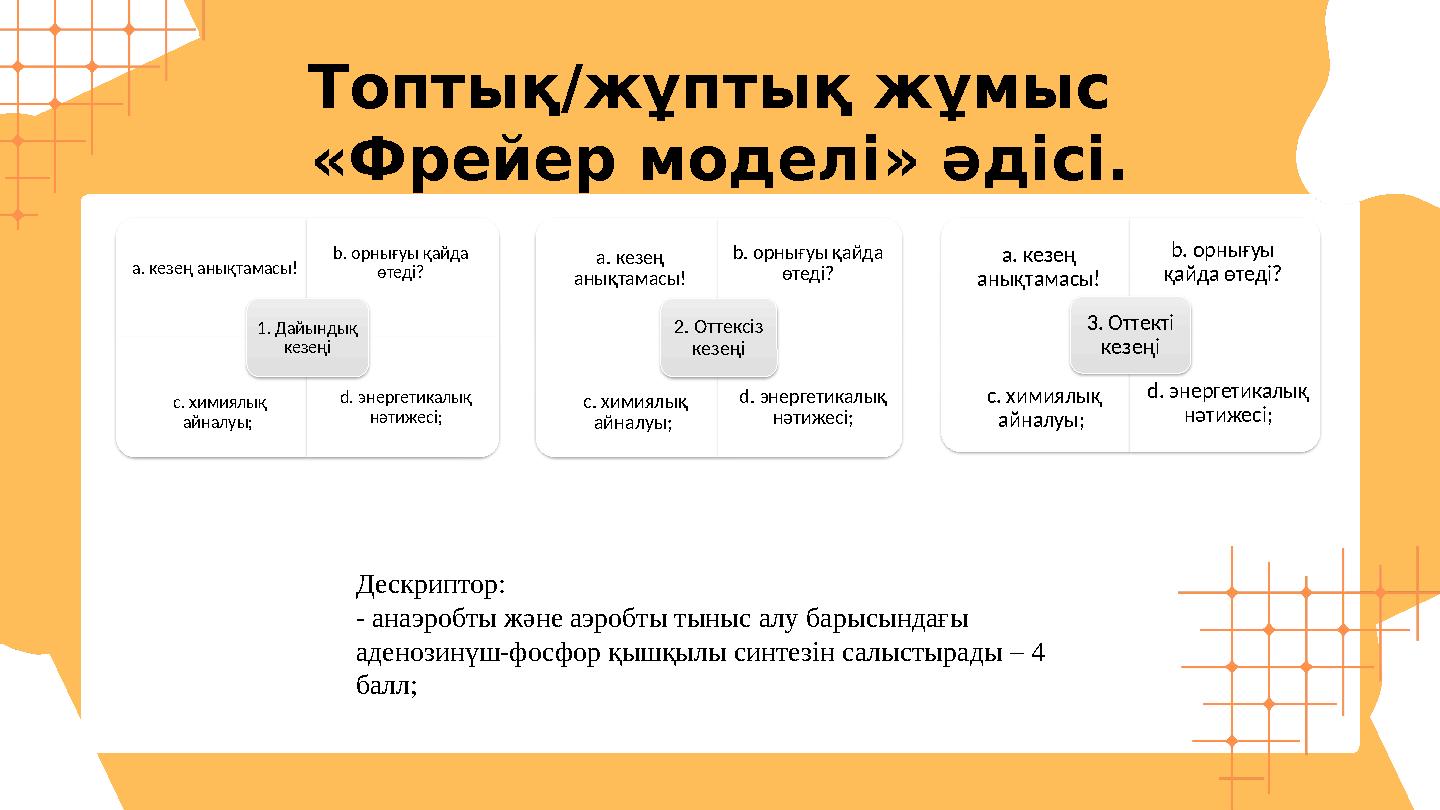 Топтық/жұптық жұмыс «Фрейер моделі» әдісі. a. кезең анықтамасы! b. орнығуы қайда өтеді? c. химиялық айналуы; d. энергети