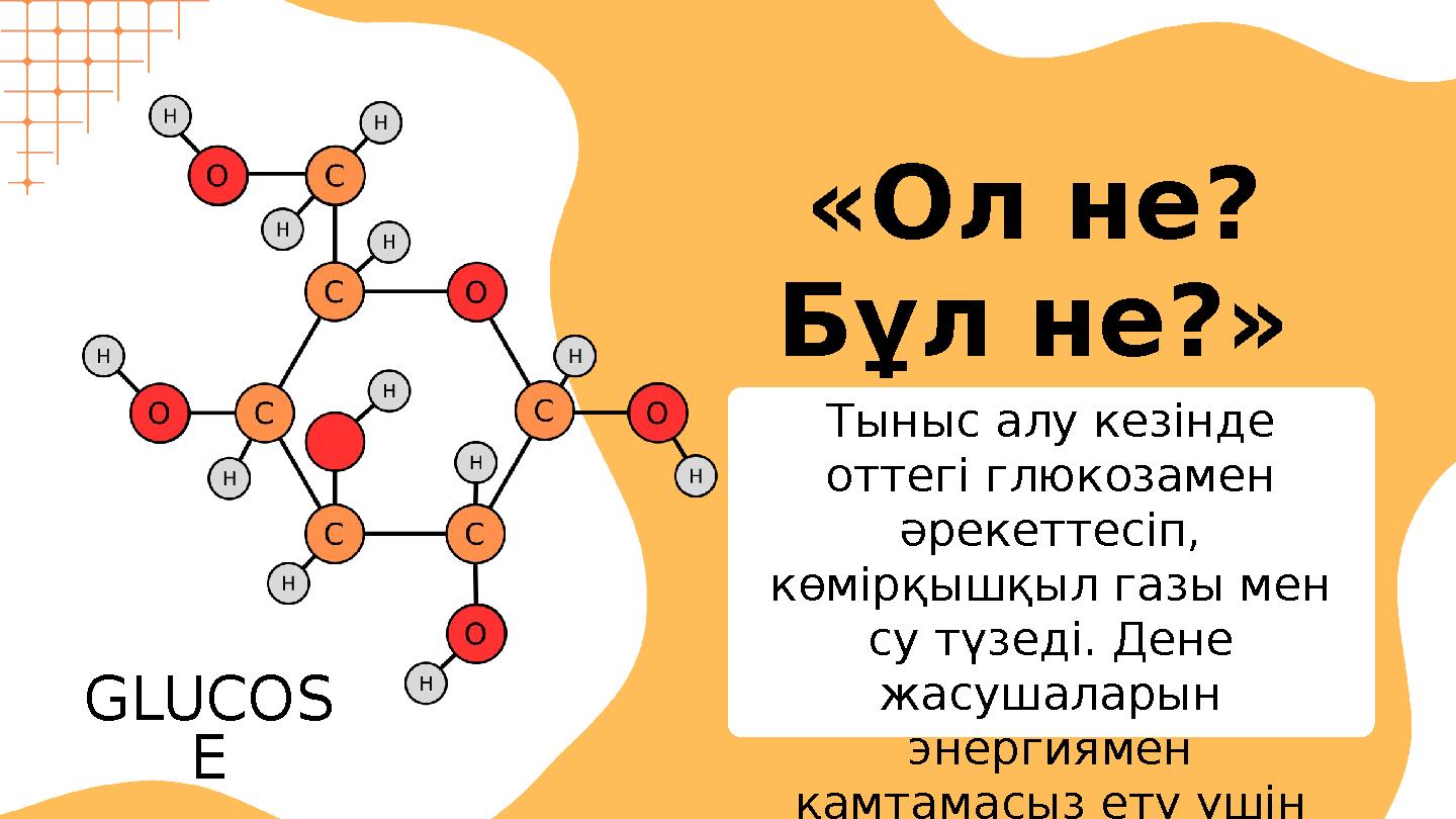 «Ол не? Бұл не?» Тыныс алу кезінде оттегі глюкозамен әрекеттесіп, көмірқышқыл газы мен су түзеді. Дене жасушаларын энерг