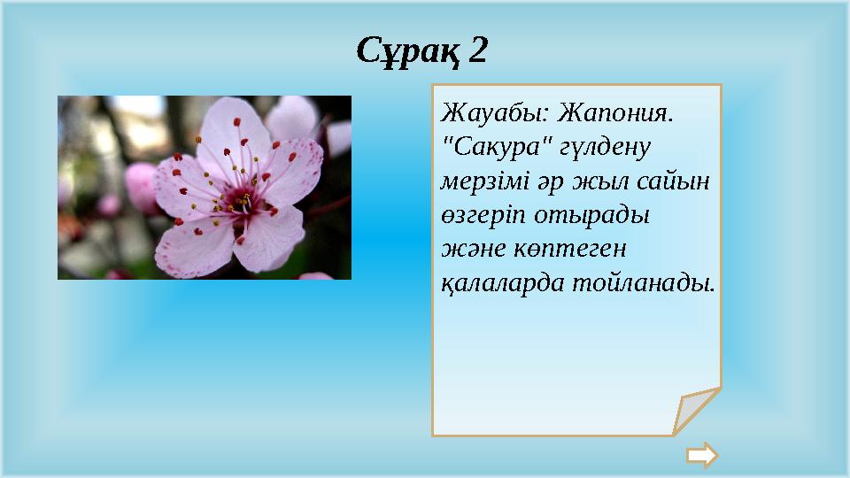 Жауабы: Жапония. "Сакура" гүлдену мерзімі әр жыл сайын өзгеріп отырады және көптеген қалаларда тойланады. Сұрақ 2