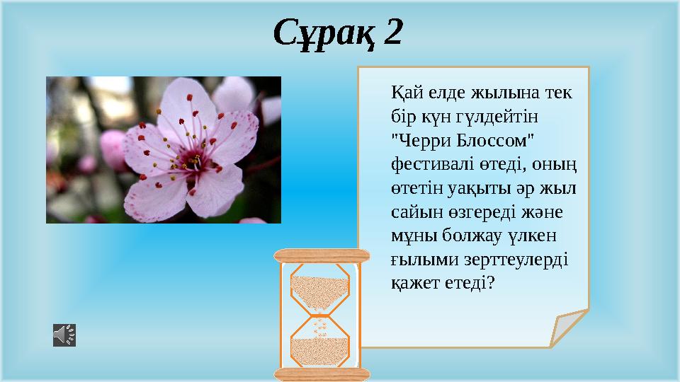 Қай елде жылына тек бір күн гүлдейтін "Черри Блоссом" фестивалі өтеді, оның өтетін уақыты әр жыл сайын өзгереді және мұн