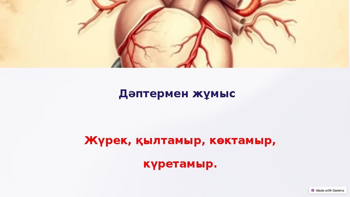 Дәптермен жұмыс Жүрек, қылтамыр, көктамыр, күретамыр.