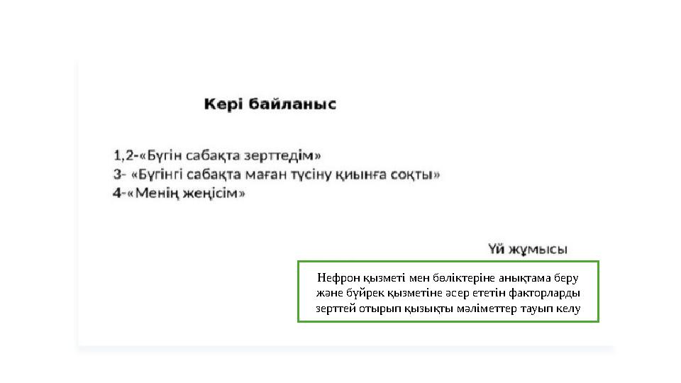 Нефрон қызметі мен бөліктеріне анықтама беру және бүйрек қызметіне әсер ететін факторларды зерттей отырып қызықты мәліметтер т