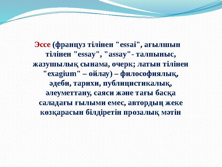 Эссе (француз тілінен "essai", ағылшын тілінен "essay", "assay"- талпыныс, жазушылық сынама, очерк; латын тілінен "exagium" –