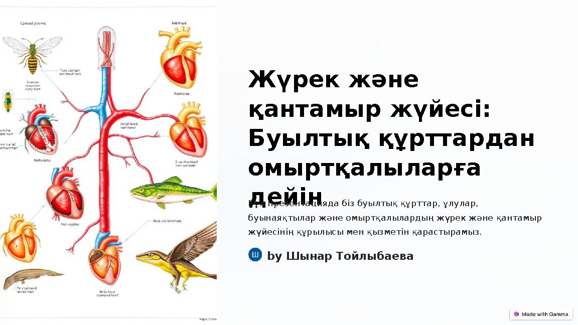 Әйел киска ұясы Костюмдегі секс порно