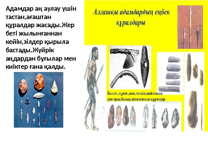 Адамдар аң аулау үшін тастан,ағаштан құралдар жасады.Жер беті жылынғаннан кейін,зілдер қырыла бастады.Жүйрік аңдардан бұғы