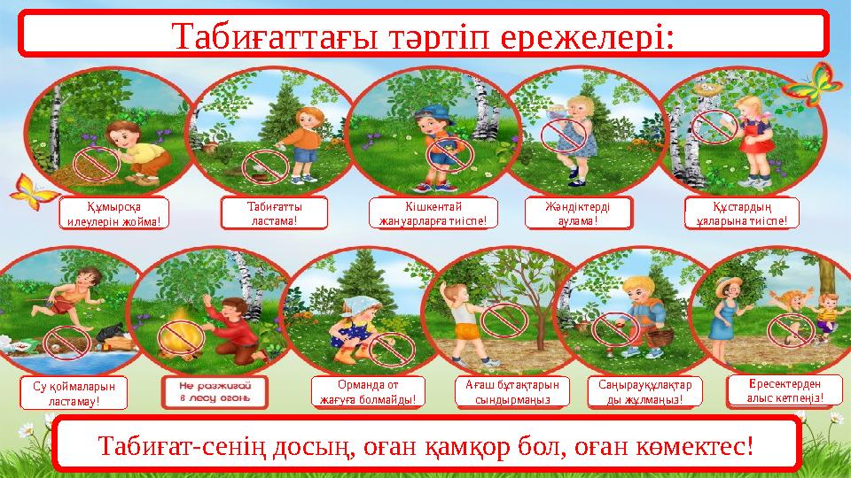 Вагинальды шарларды қалай қолдануға болатыны туралы бейне