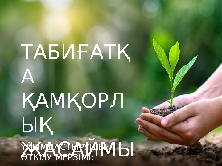 фотосы попок