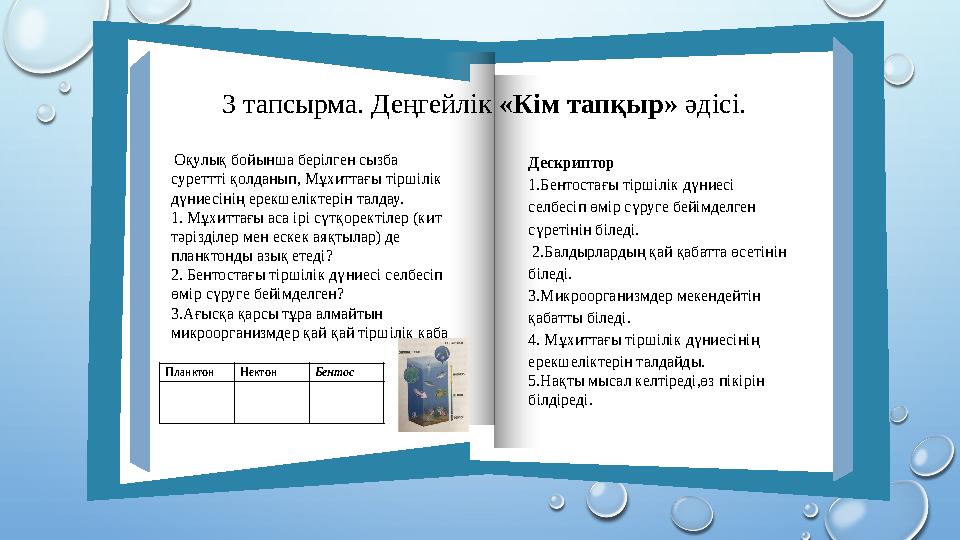 3 тапсырма. Деңгейлік «Кім тапқыр» әдісі. Планктон Нектон Бентос Оқулық бойынша берілген сызба суреттті қолданып, Мұхи